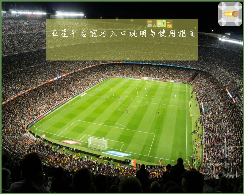 亚星平台官方入口说明与使用指南