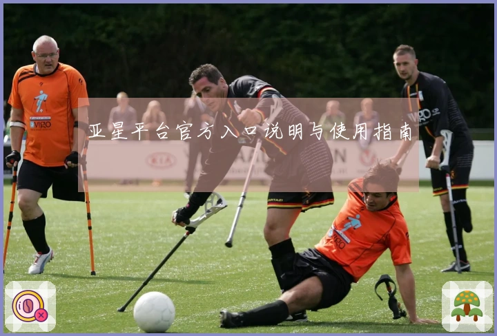 亚星平台官方入口说明与使用指南