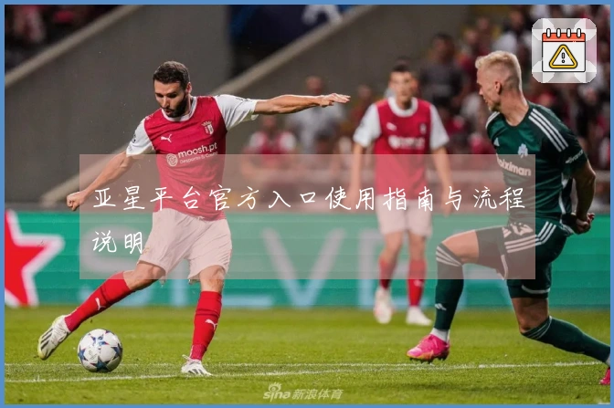 亚星平台官方入口使用指南与流程说明